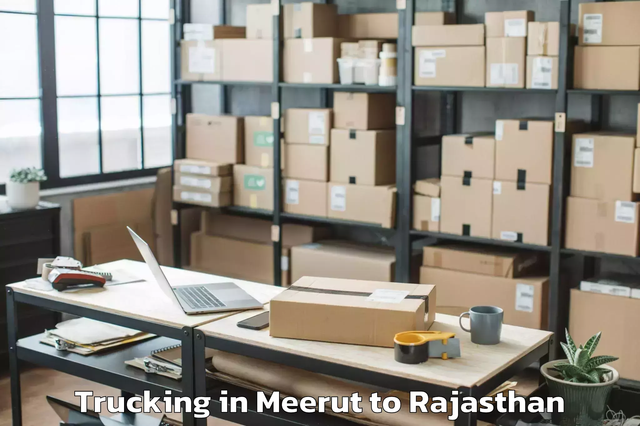 Book Meerut to Jagannath University Jaipur Trucking